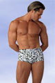 Lingerie Homme Boxer Z�bre