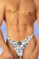 Lingerie Homme String Zèbre
