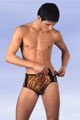 Boxer Tigre