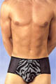 Boxer Tigre Noir