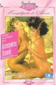 Guide des Accessoires Sexuels