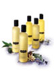 Huiles de Massage Botaniques